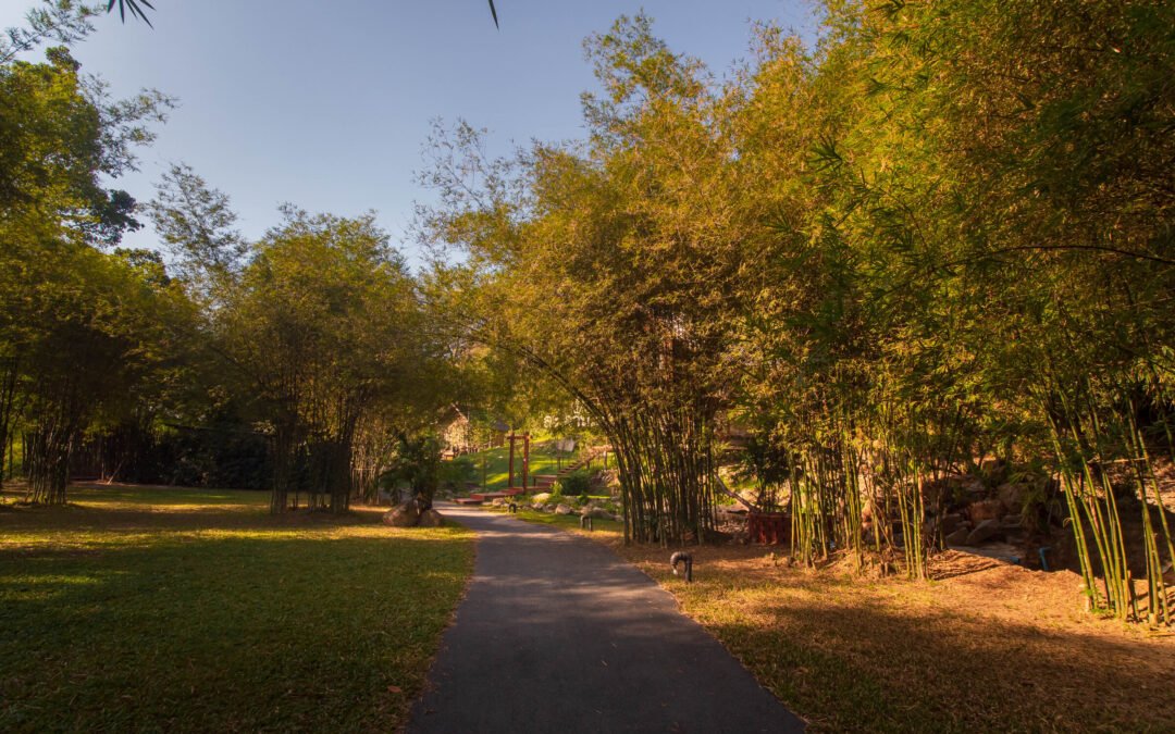 Why Tagaytay is the Best Place for Summer in the Philippines